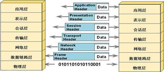 OSI参考模型由从线（物理）到软件（应用程序）构建的七个层组成